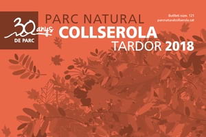 Butlletí 121. Autor: CPNSC