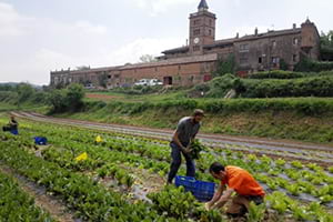 Finca de Can Montmany (Sant Cugat). Autor: CPNSC