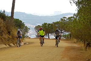 Bicicletes. Autor: CPNSC