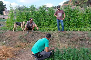 Visita a una de les finques. Autor: Arran de Terra