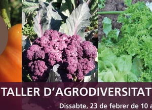 Taller d'agrodiversitat. Autor: CPNSC
