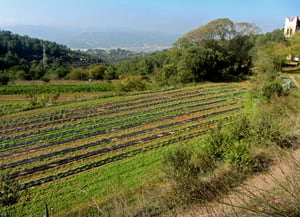 Can Bofill. Autor: CPNSC