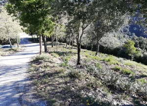 Franja de protecció. Autor: CPNSC