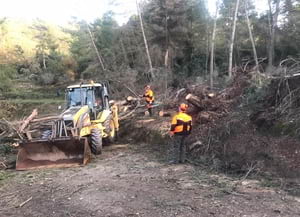 Arranjament de camins al Parc. Autor: CPNSC