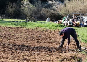 TornaSòl. Autor: CPNSC