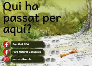 'Qui ha passat per aquí?'. Autor: CPNSC