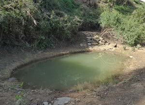 La bassa, un cop arranjada. Autor: CPNSC