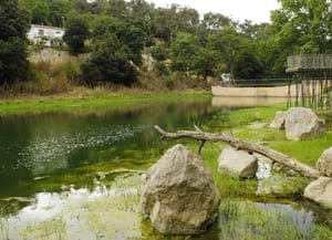 Pantà de Vallvidrera. Autor: CPNSC