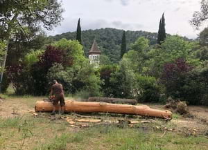 Instant del procés de creació. Autor: CPNSC