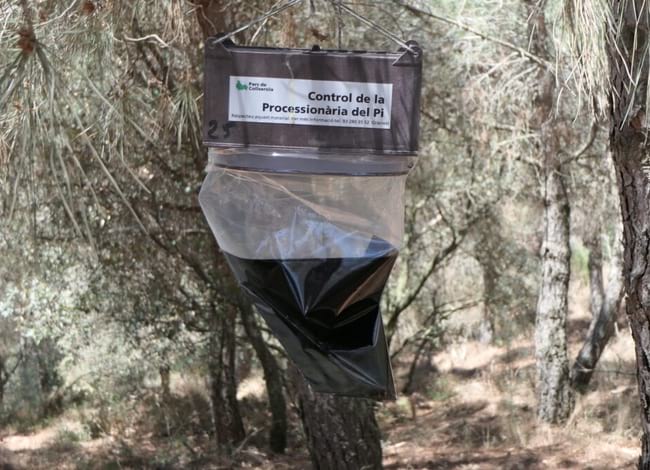 Caixa trampa de feromones. Autor: CPNSC