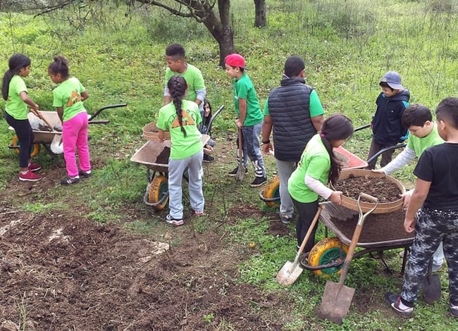 Infants realitzant activitats d'educació ambiental al Parc Natural. Autor: CPNSC