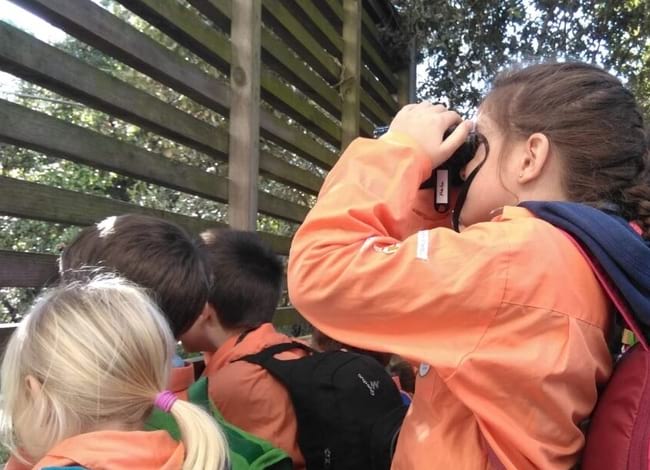 S'organitzen activitats per celebrar la Festa dels Ocells.<br />Autor: CPNSC