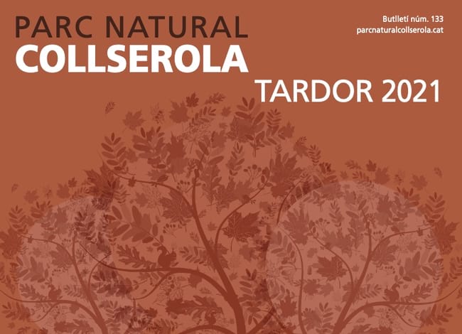 Detall de la portada del Butlletí de tardor. Autor: CPNSC