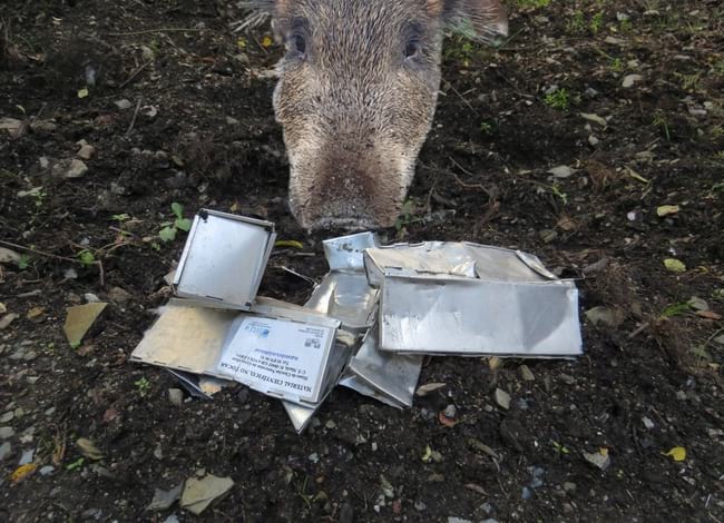 Ha calgut dissenyar un sistema de protecció dels paranys. Autor: CPNSC