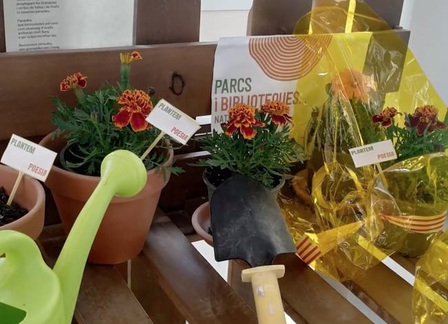 El taller de haikus s'emmarca en el projecte 'Plantem Poesia'. Autor: XBM