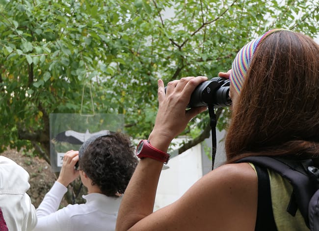 Participants d'una activitat d'observació del vol dels ocells. Autor: CPNSC