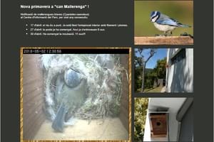 Càmera web. Autor: CPNSC