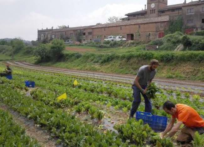 Treballs a Can Monmany. Autor: CPNSC