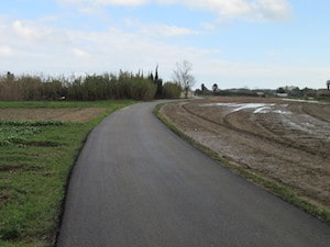 Camí asfaltat a Gavà. Autor: XPN