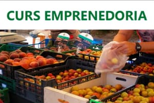 Curs d'emprenedoria. Autor: Unió de Pagesos