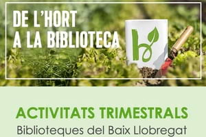 Detall del programa. Autor: XBM