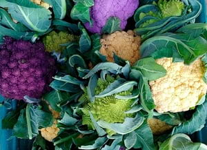 Assortiment de bràssiques. Autor: XPN