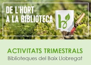 Detall del programa. Autor: XBM