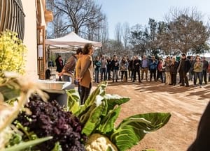 Inci de la jornada BRAAVA. Autor: Ricard Badia