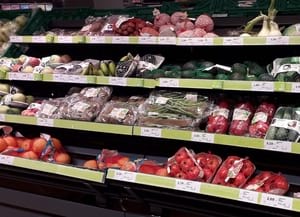 Jornada sobre envasament. Autor: IRTA