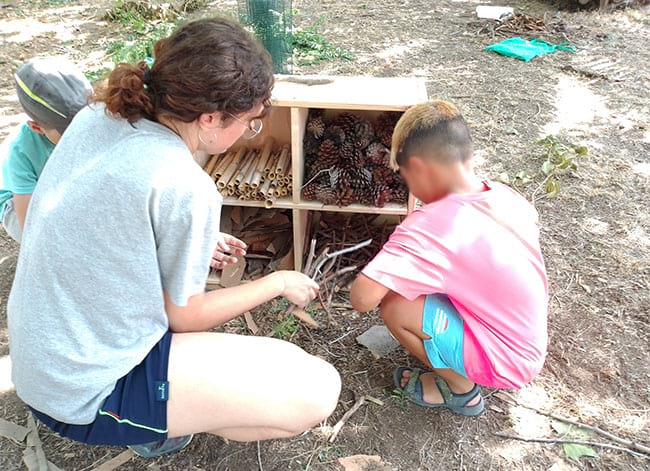 Detall de l'hotel d'insectes. Autor: Parc Agrari del Baix Llobregat