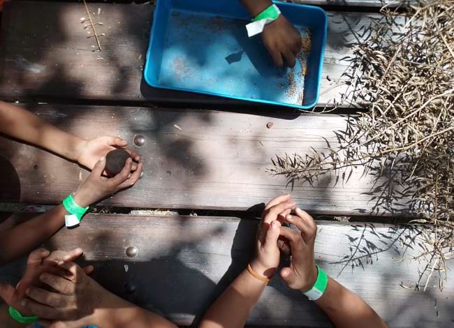 Nens i nenes van fer boles de fang amb llavors. Autor: Parc Agrari del Baix Llobregat