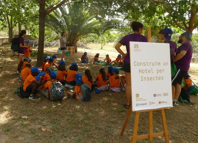 Una de les activitats va ser construir un taller d'insectes. Autor: Parc Agrari del Baix Llobregat