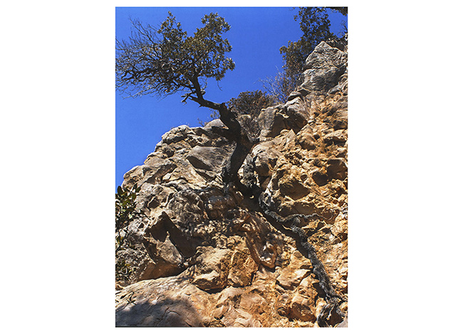 Primer premi del tema Parcs. Autor: Ignacio Díaz