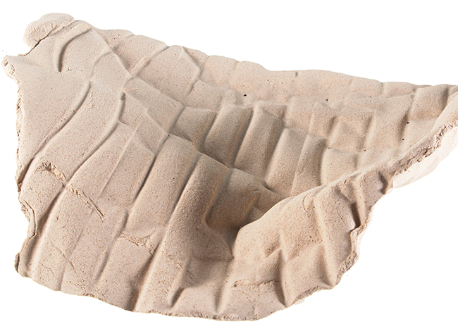 Imatge de l'exposició 