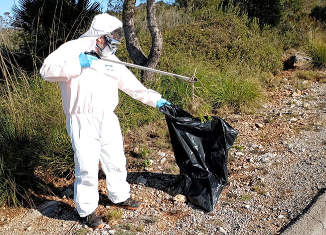 El tractament actua sobre les bosses de processionària del pi localitzades. Autoria: XPN