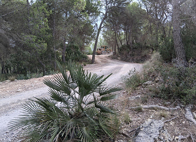 Arranjament d'un dels camins. Autor. XPN