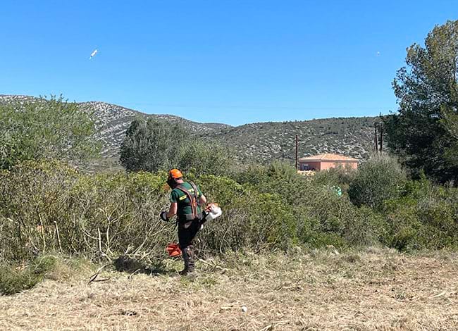 Treballs a Plana Novella. Autor: Generalitat de Catalunya