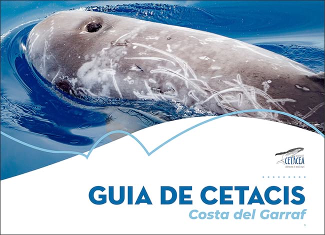 Portada de la Guia de cetacis. Costa del Garraf. Autor: Associació Cetàcea