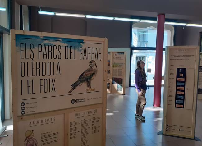 La mostrà serà al Petit Casal de Begues fins al 31 d'agost. Autor: XPN