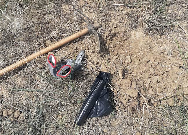 L'espai, sense el seneci. Autor: XPN