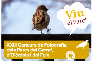 Detall de les bases. Autor: XPN