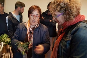 L'auditora l'abril passat. Autor: XPN