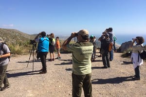 Observació al Mirador de Canòpolis. Autor: XPN