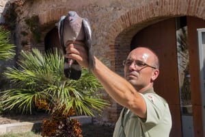 Anellament a la Pleta. Autor: XPN