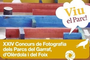 Detall de les bases. Autor: XPN