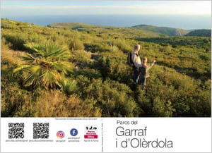 Detall del nou desplegable. Autor: XPN