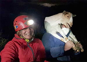 La cabra, acabada de rescatar.<br />Autora: Crisi González