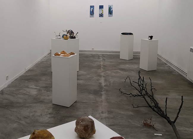 La instal·lació de Pau Farell. Autor: XPN