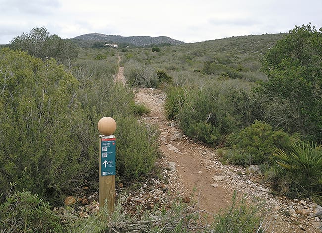 Fita que representa Júpiter. Autor: Observatori astronòmic <br />del Parc del Garraf