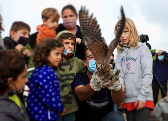 Emilio Valbuena, biòleg del Parc del Garraf, alliberant un xoriguer comú. Autor: XPN